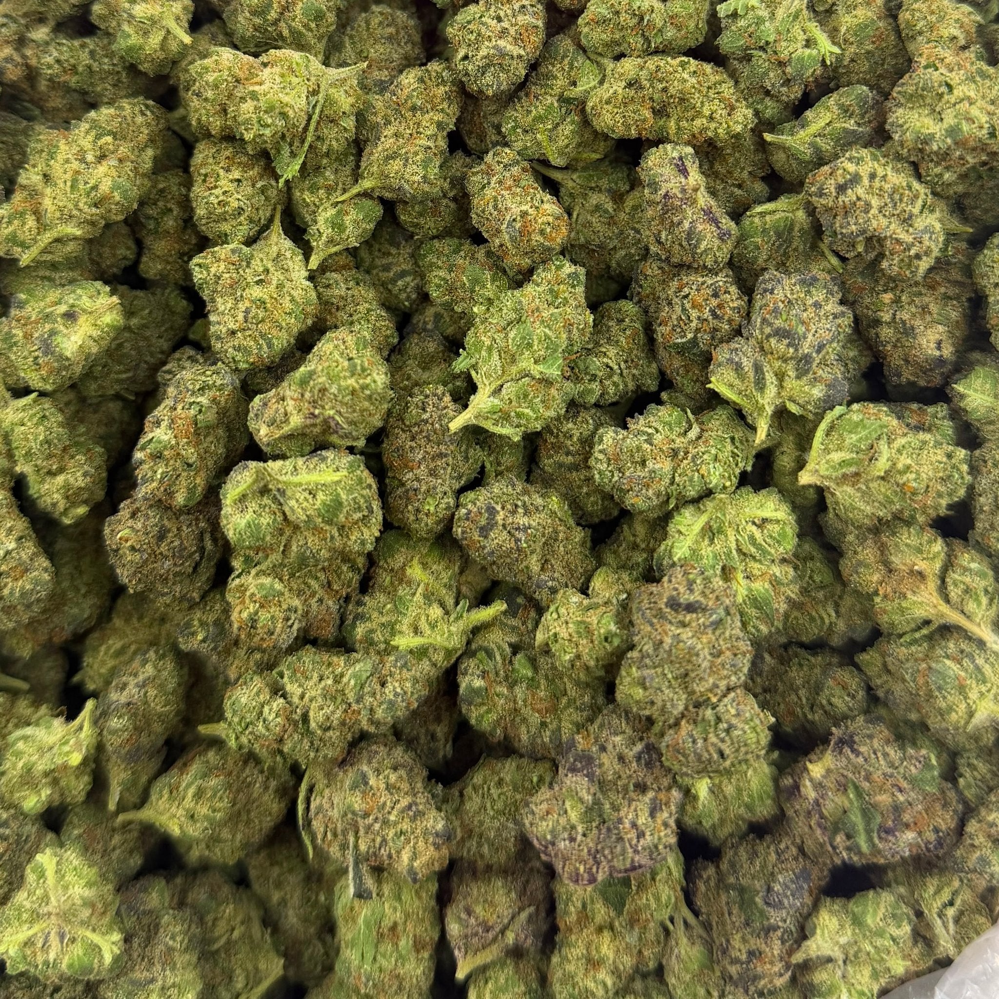 Blueberry Haze bulk THCA flower — Plain Jane 1 lb