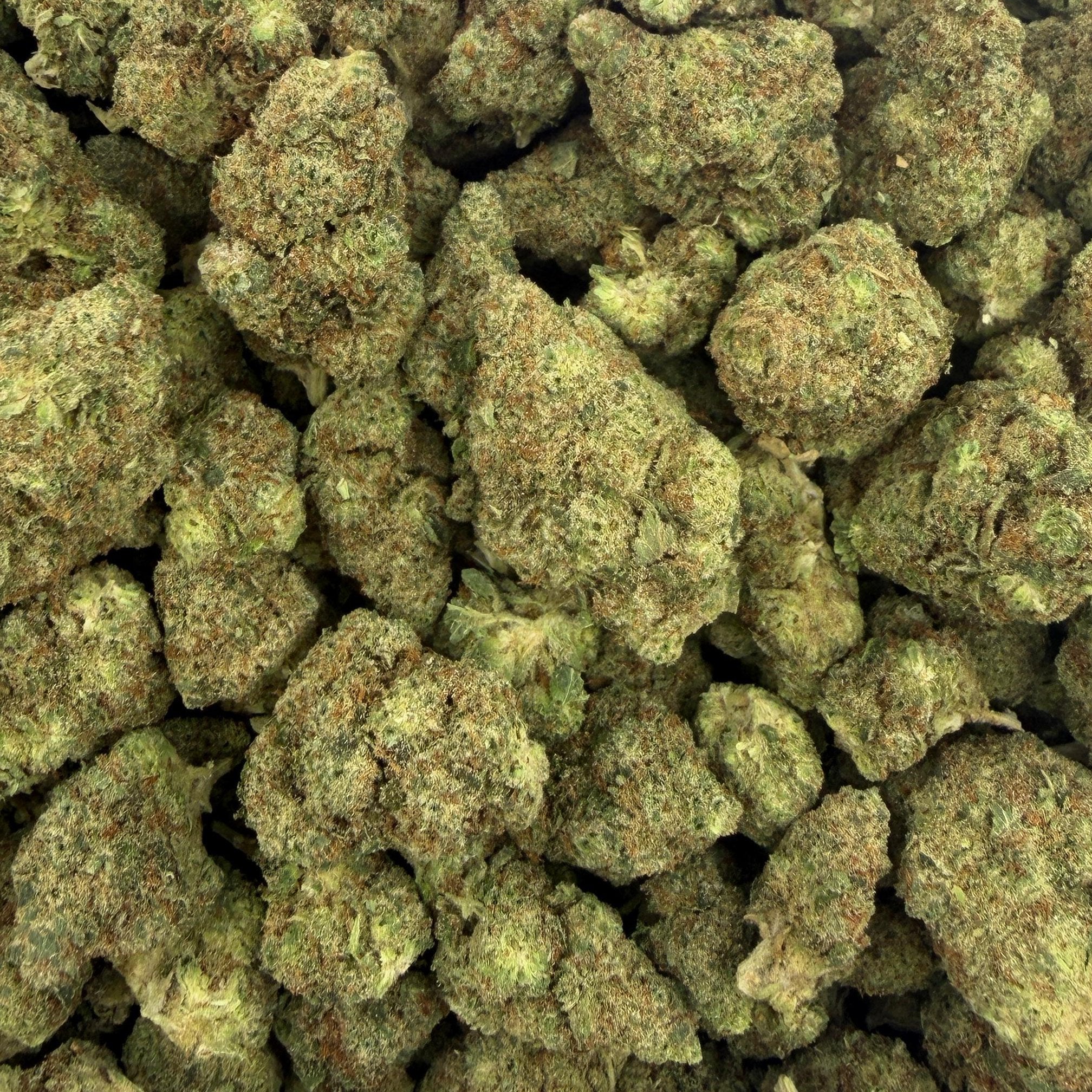 Blueberry Haze bulk THCA flower — Plain Jane 1 lb