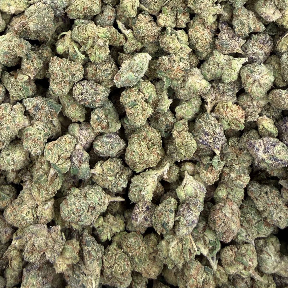 Blueberry Haze bulk THCA flower — Plain Jane 1 lb