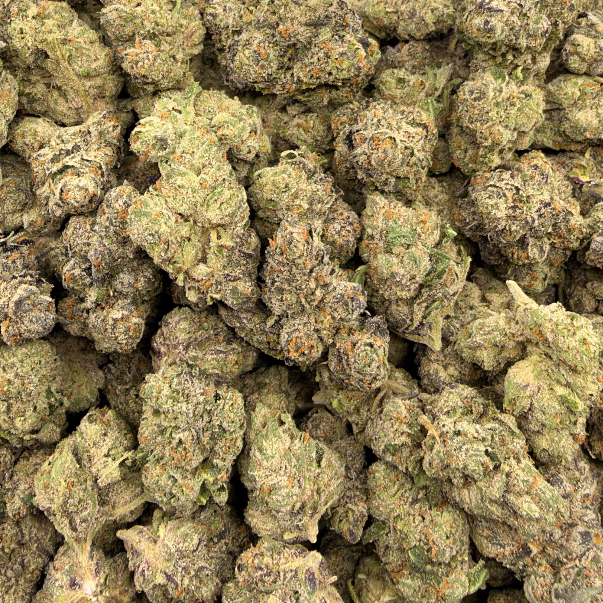 Blueberry Haze bulk THCA flower — Plain Jane 1 lb