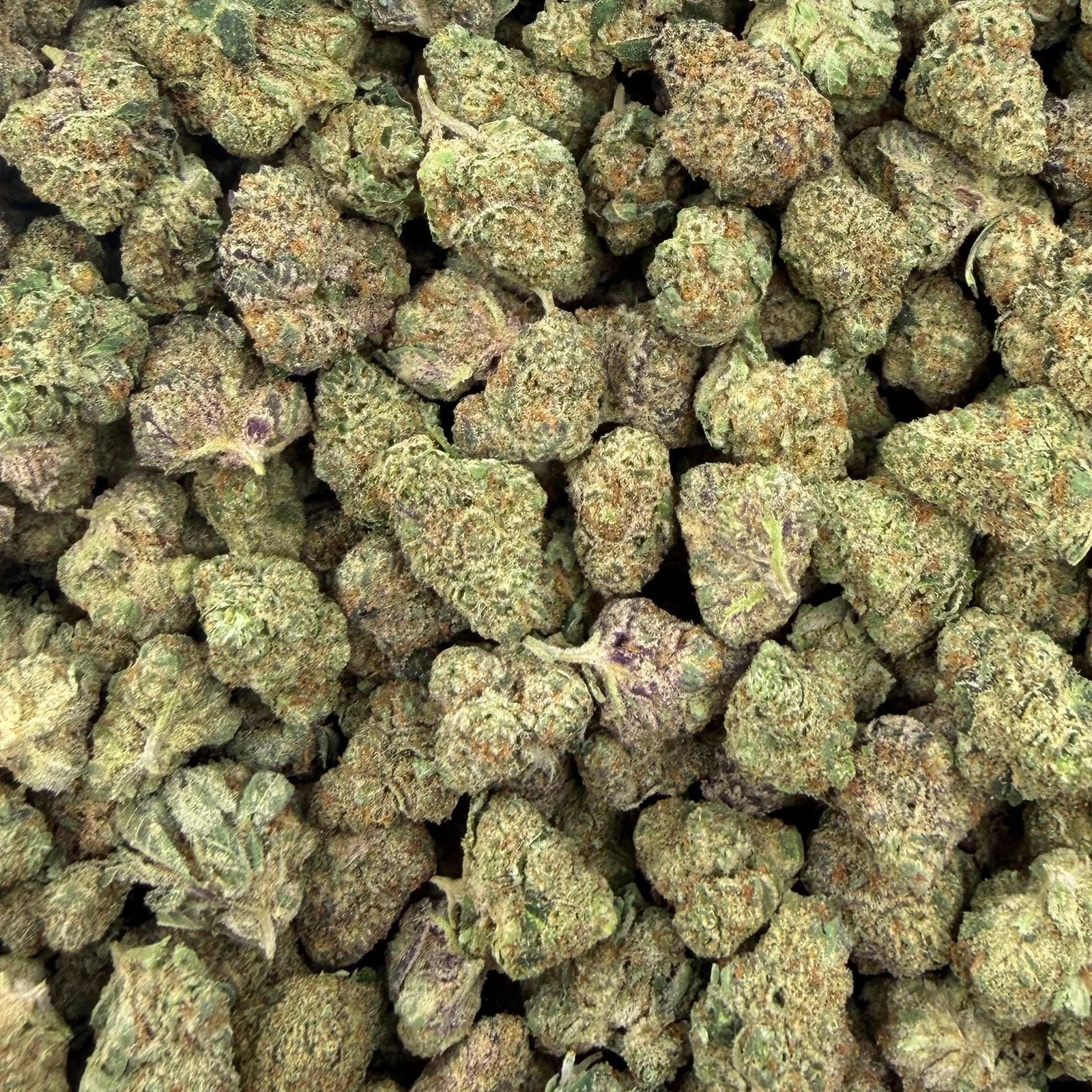Blueberry Pancake bulk THCA flower — Plain Jane 1 lb