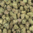Blueberry Pancake bulk THCA flower — Plain Jane 1 lb
