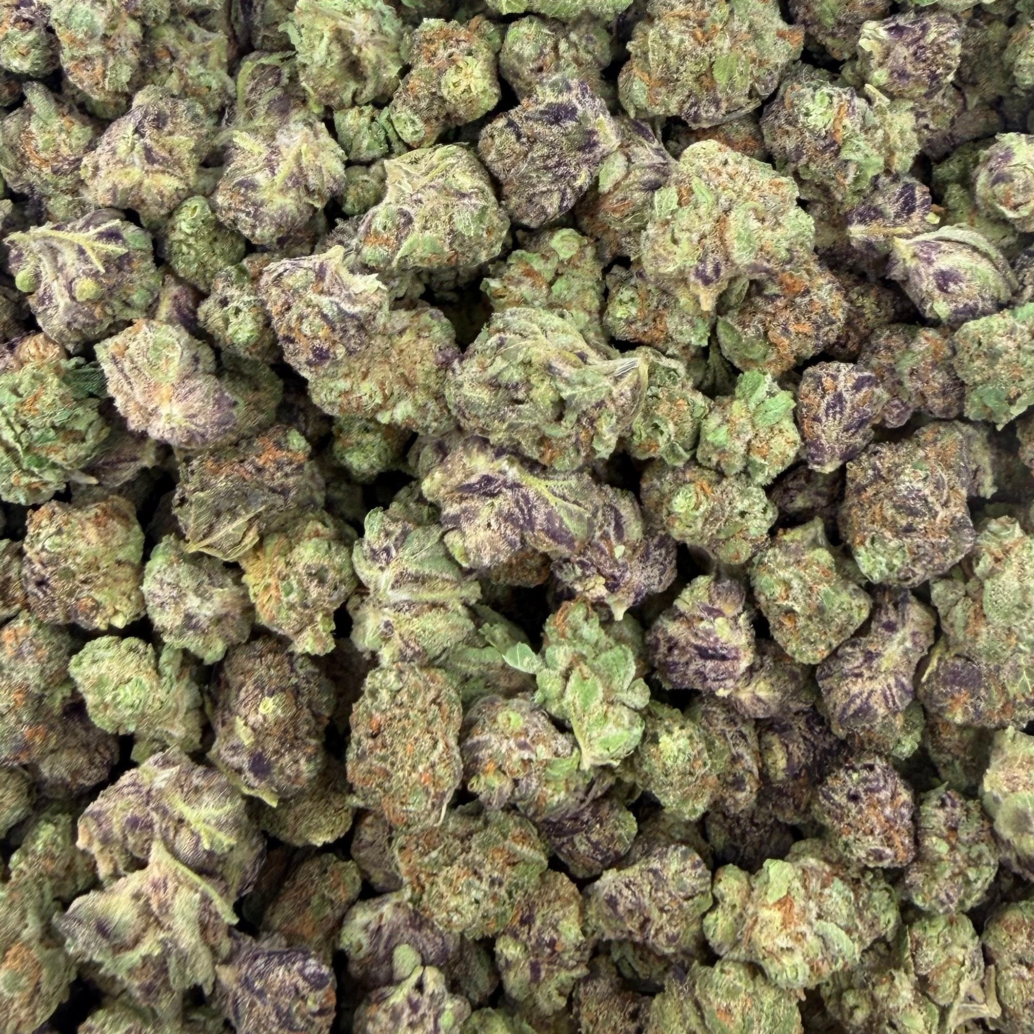 Blueberry Pancake bulk THCA flower — Plain Jane 1 lb