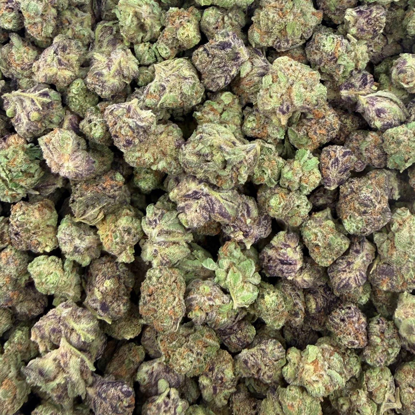Blueberry Pancake bulk THCA flower — Plain Jane 1 lb