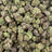 Blueberry Pancake bulk THCA flower — Plain Jane 1 lb