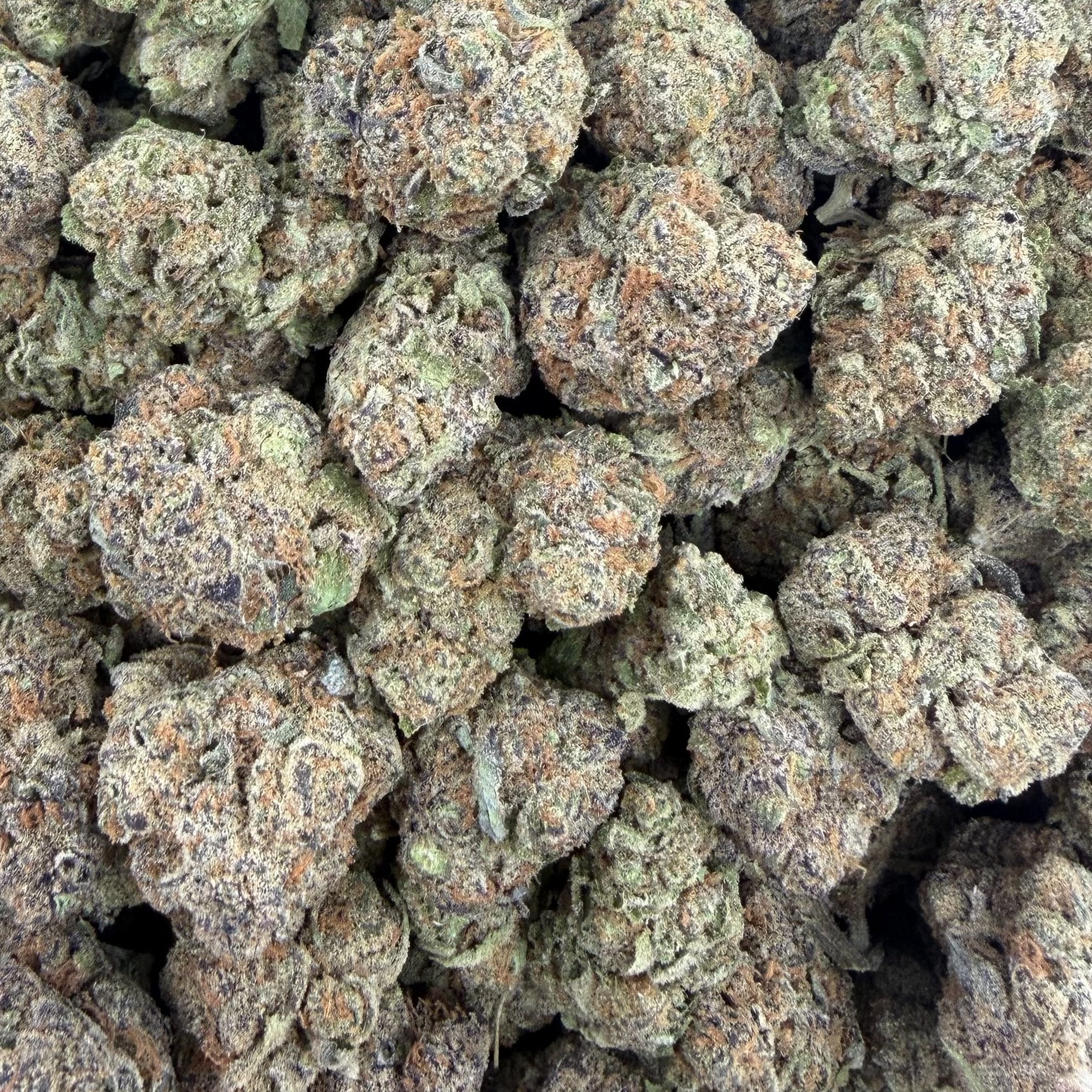 Blueberry Sherb bulk THCA flower — Plain Jane 1 lb