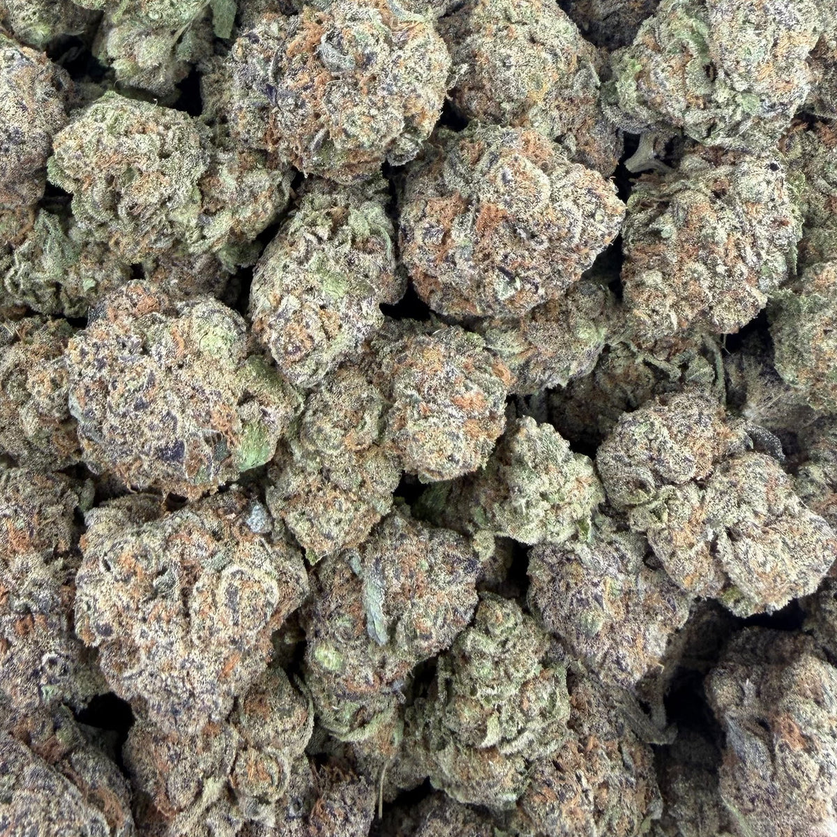 Blueberry Sherb bulk THCA flower — Plain Jane 1 lb
