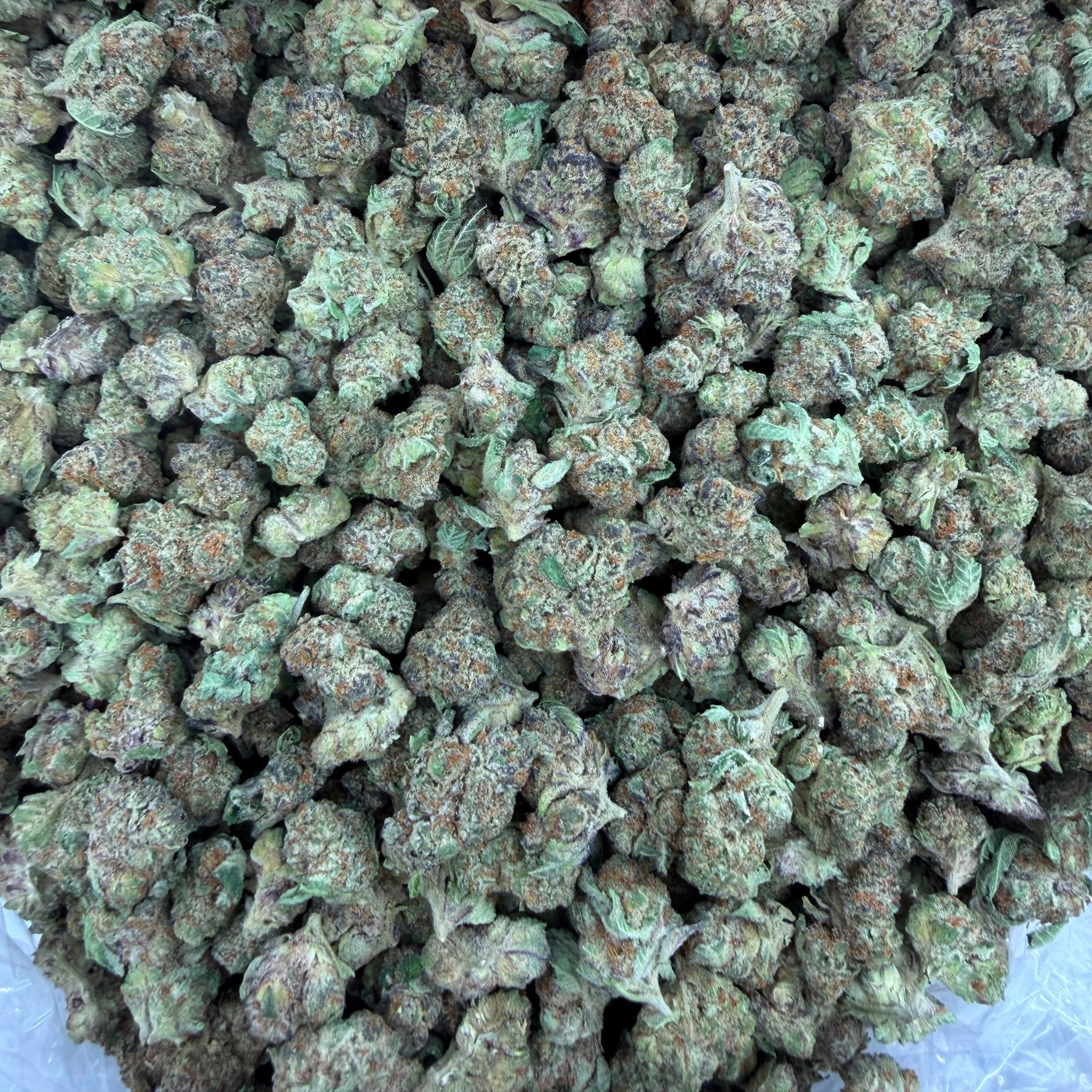 Blueberry Skittles bulk THCA flower — Plain Jane 1 lb