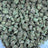 Blueberry Skittles bulk THCA flower — Plain Jane 1 lb