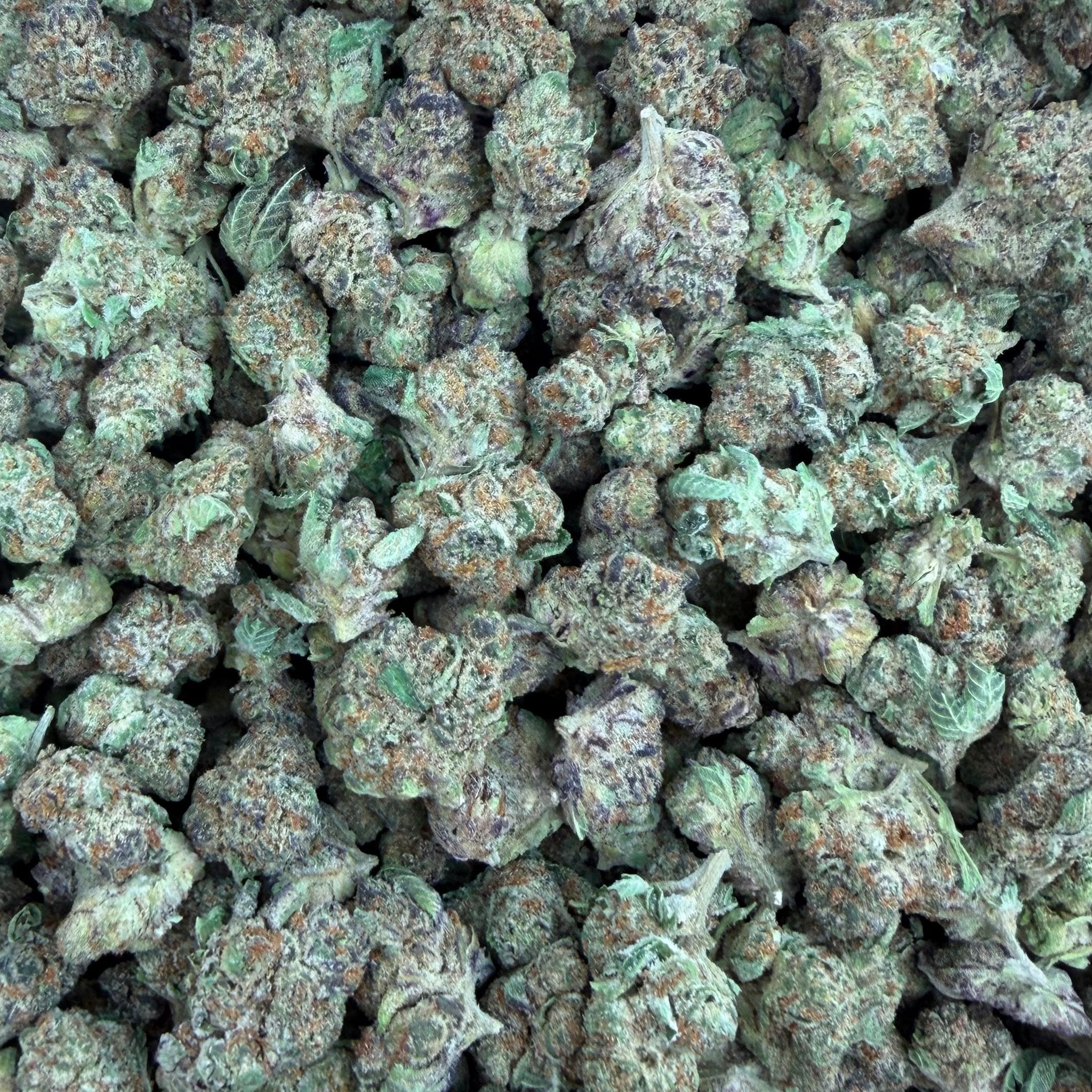 Blueberry Skittles bulk THCA flower — Plain Jane 1 lb
