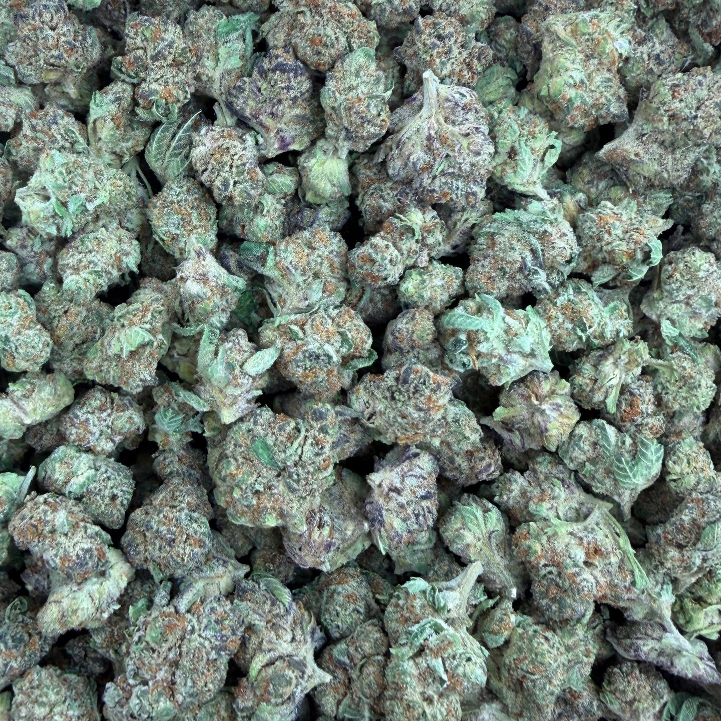 Blueberry Skittles bulk THCA flower — Plain Jane 1 lb