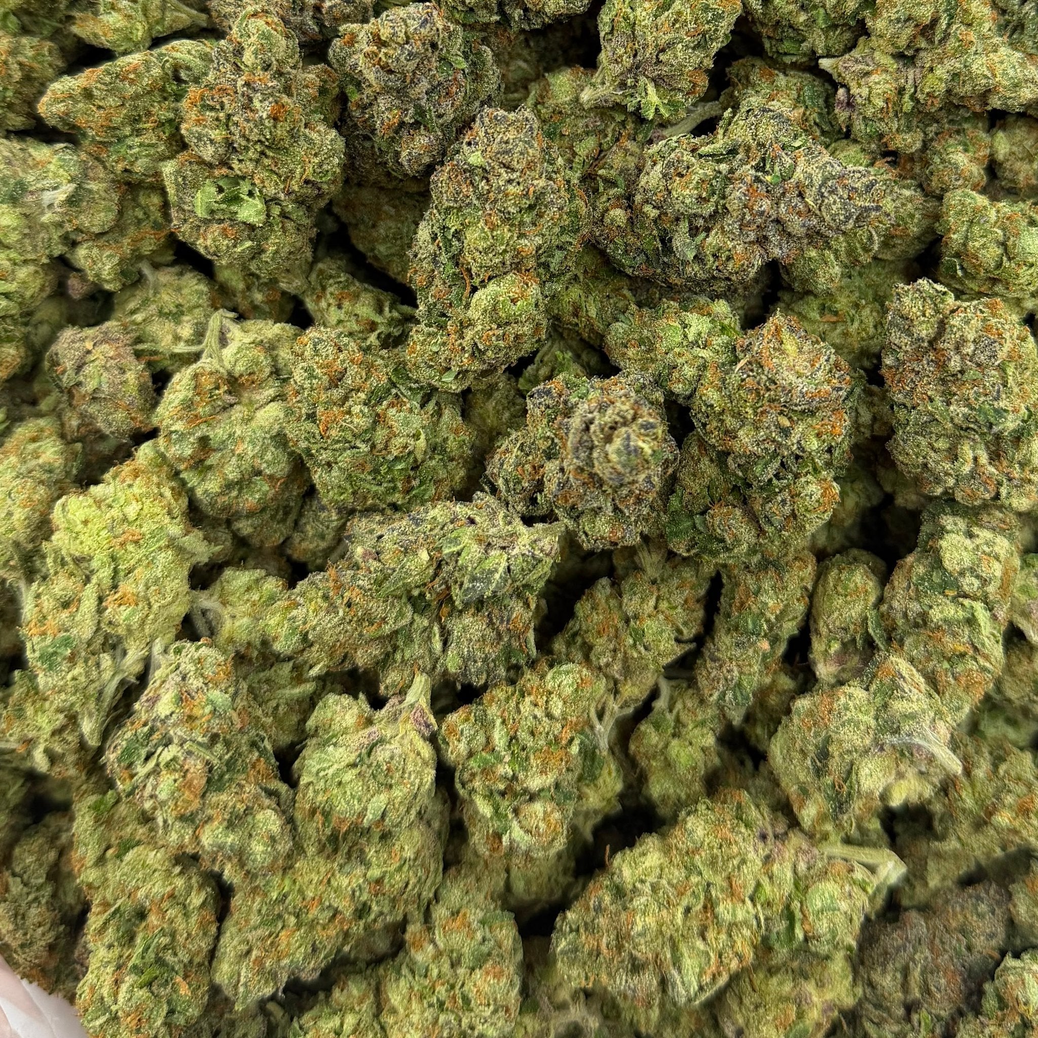 Blueberry Skittlez bulk THCA flower — Plain Jane 1 lb