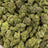 Blueberry Skittlez bulk THCA flower — Plain Jane 1 lb
