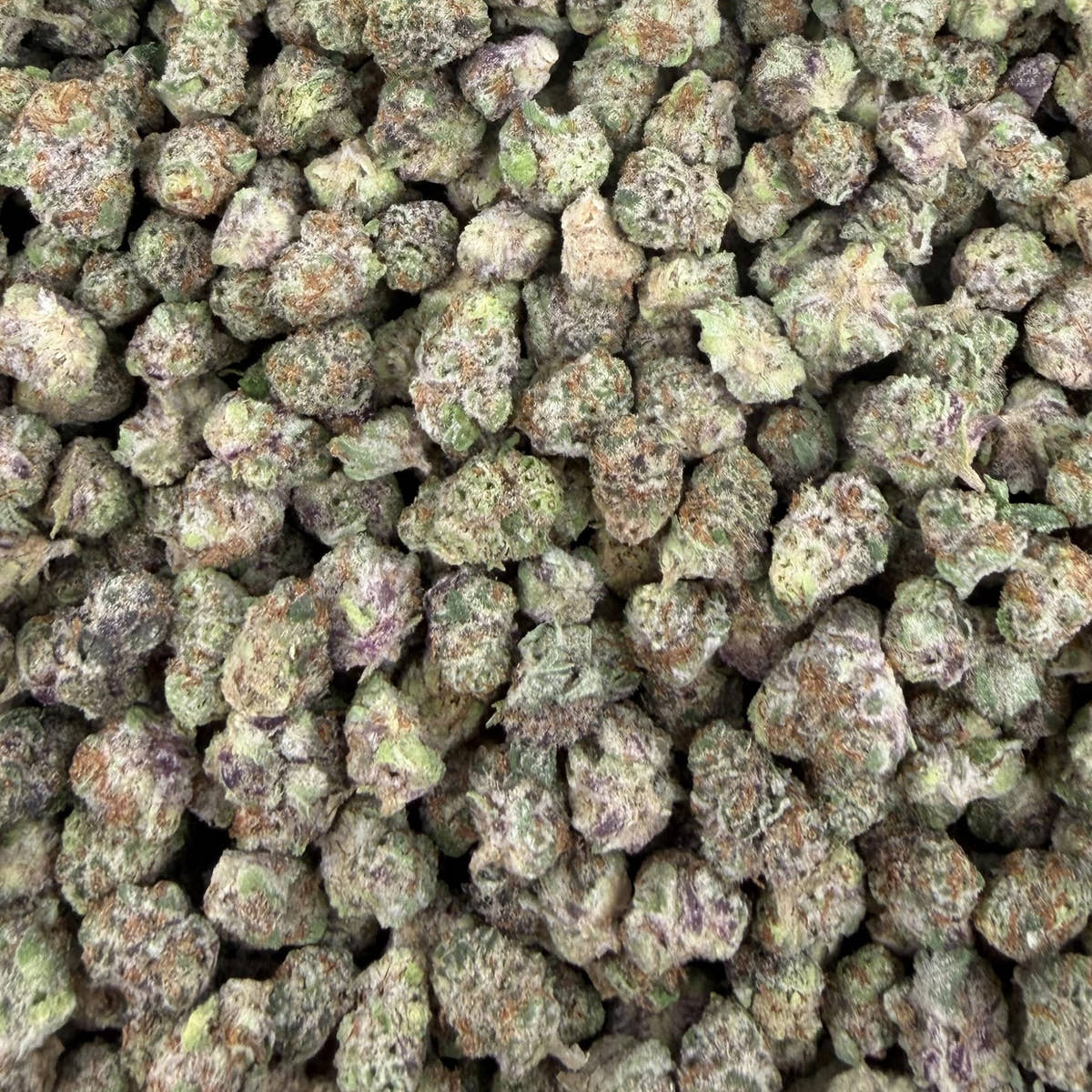Blueberry Skittlez bulk THCA flower — Plain Jane 1 lb