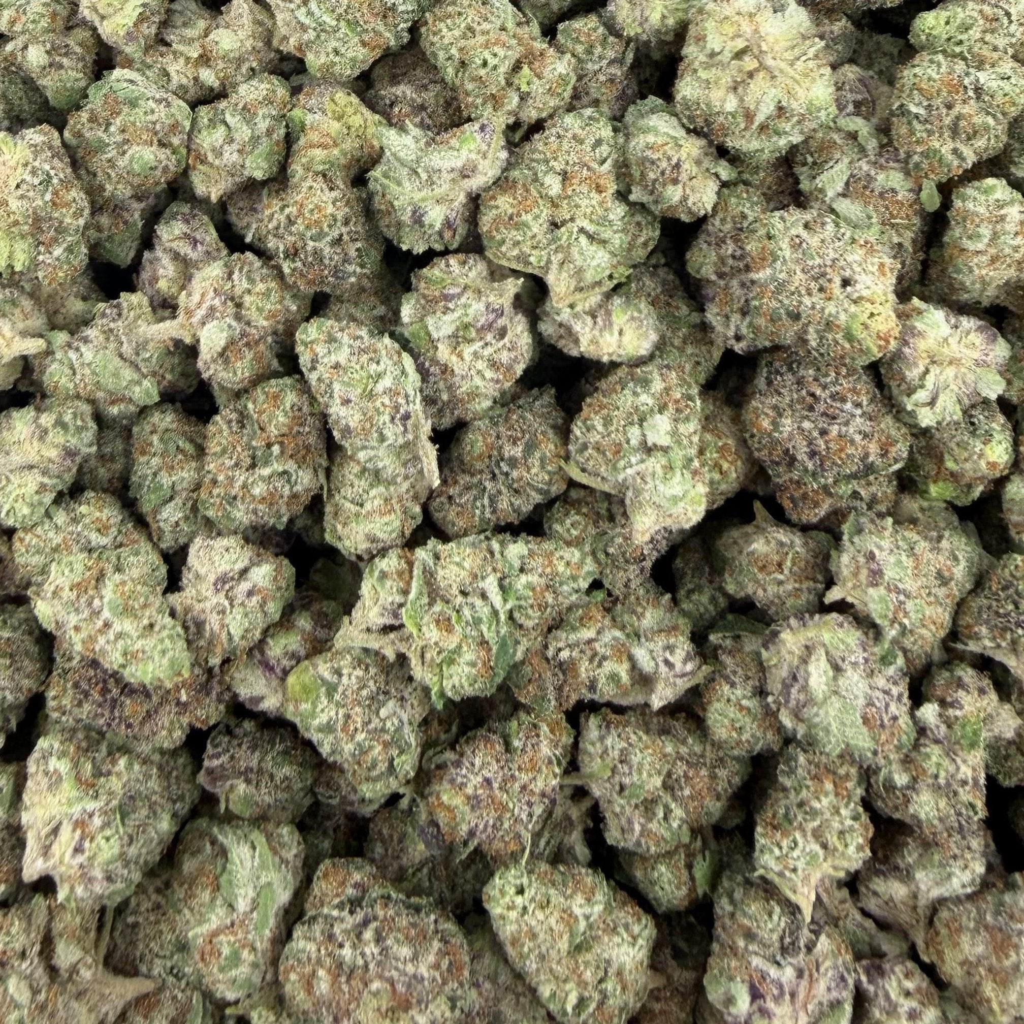 Blueberry Skittlez bulk THCA flower — Plain Jane 1 lb