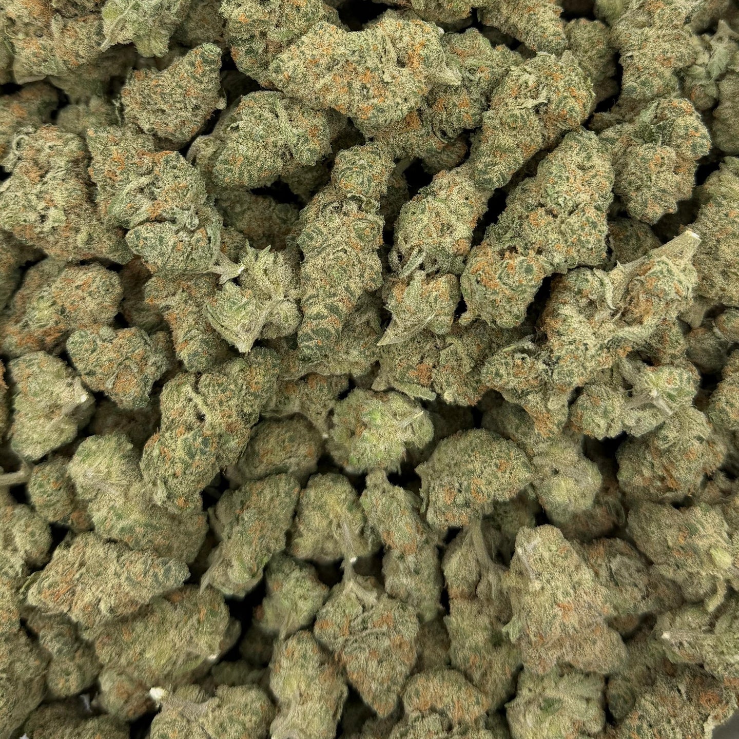 Bob Hope bulk THCA flower — Plain Jane 1 lb