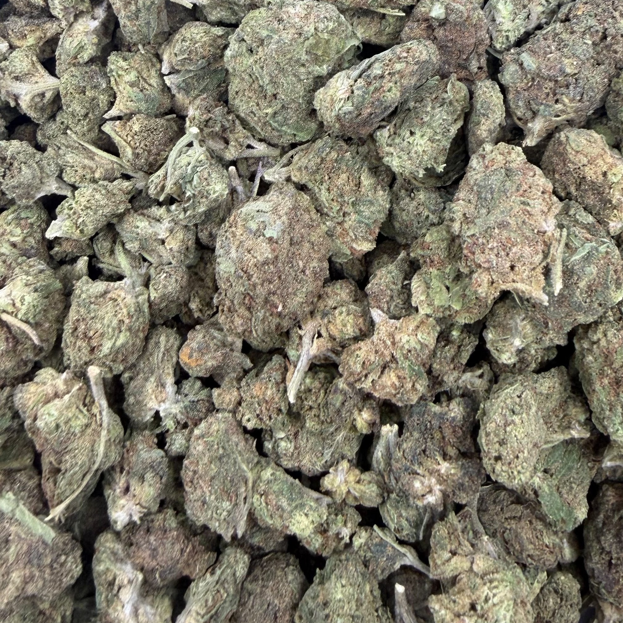 Bob Hope bulk THCA flower — Plain Jane 1 lb