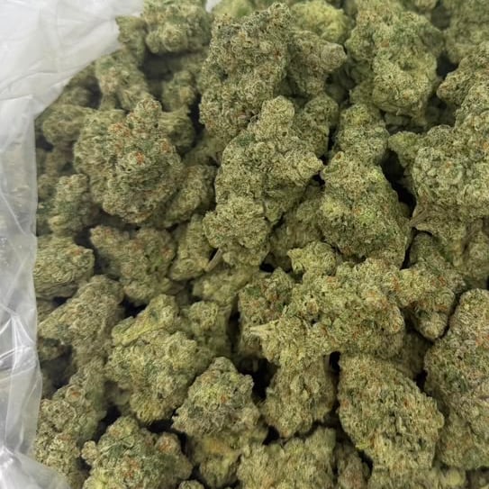 Bodega Candy bulk THCA flower — Plain Jane 1 lb