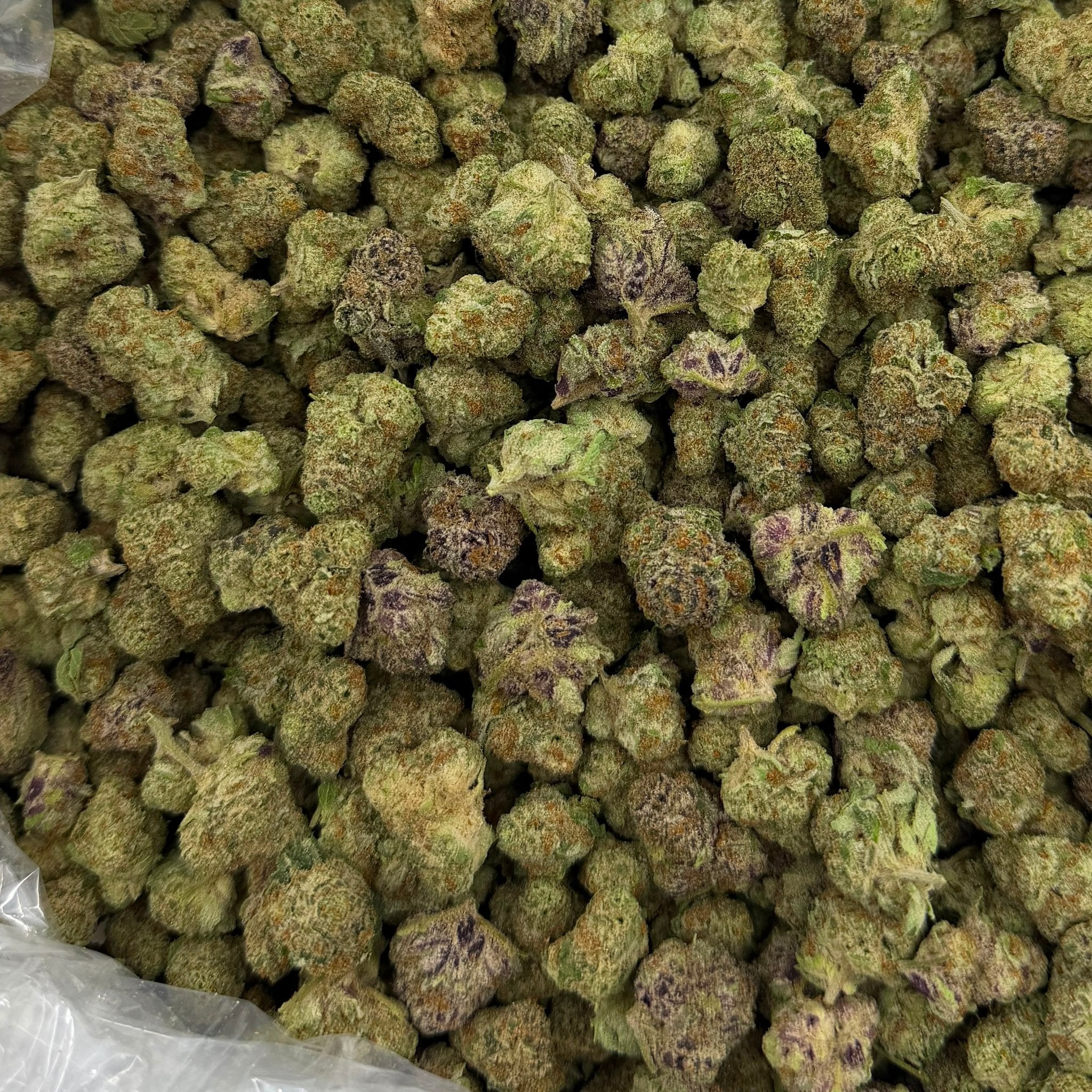 Bodega Candy bulk THCA flower — Plain Jane 1 lb