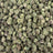Bolo Runtz bulk THCA flower — Plain Jane 1 lb