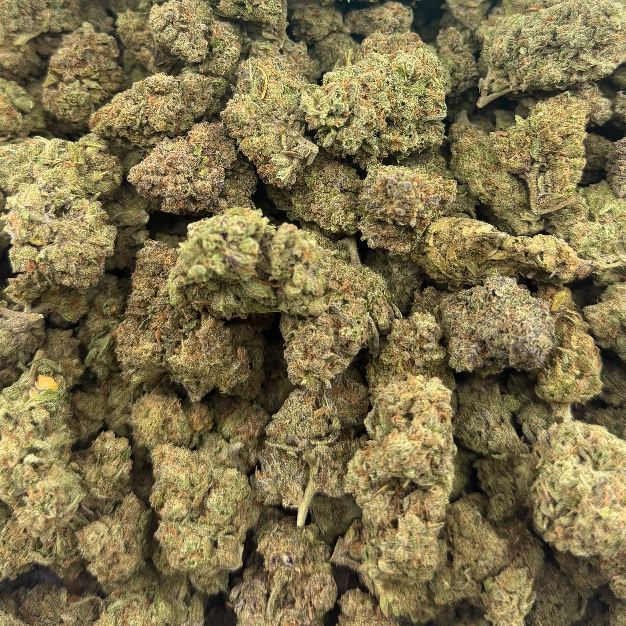 Bread Sticks bulk THCA flower — Plain Jane 1 lb