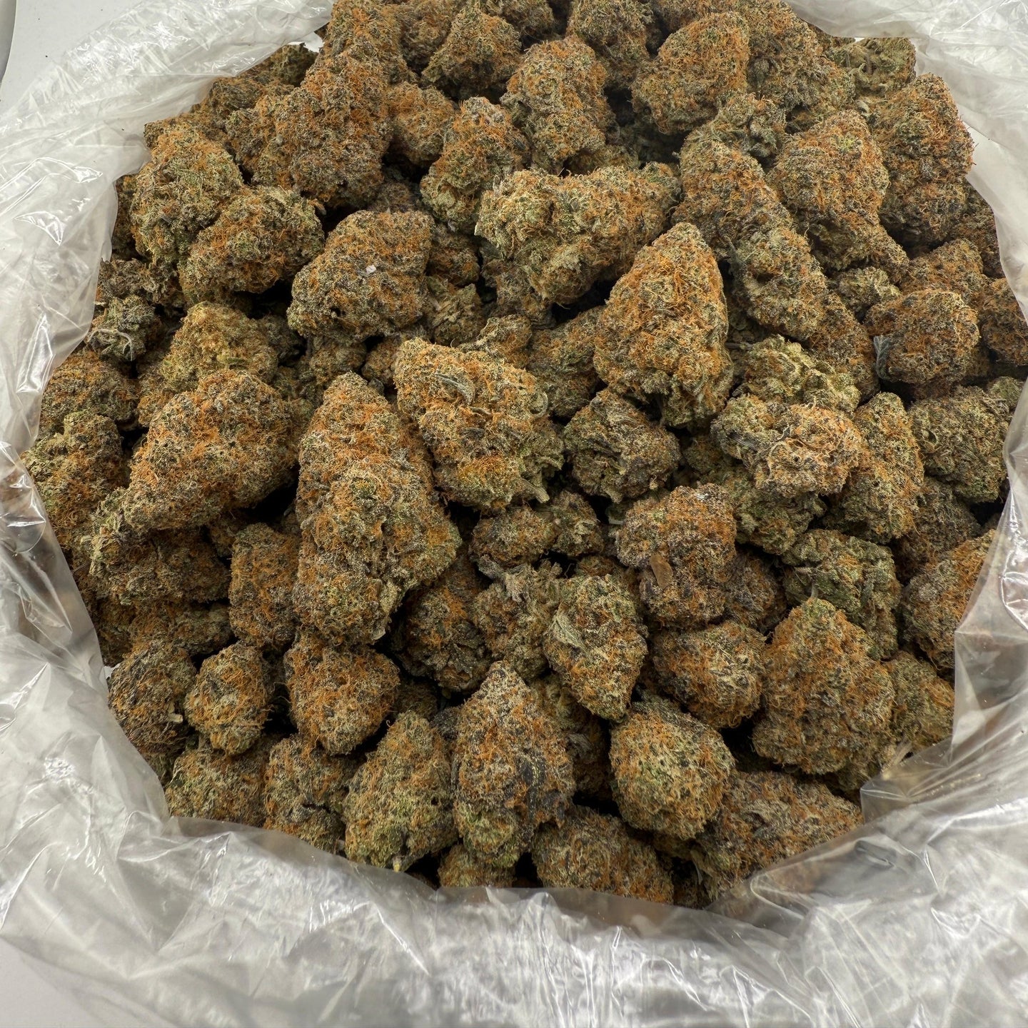 Brownie Scout bulk THCA flower — Plain Jane 1 lb