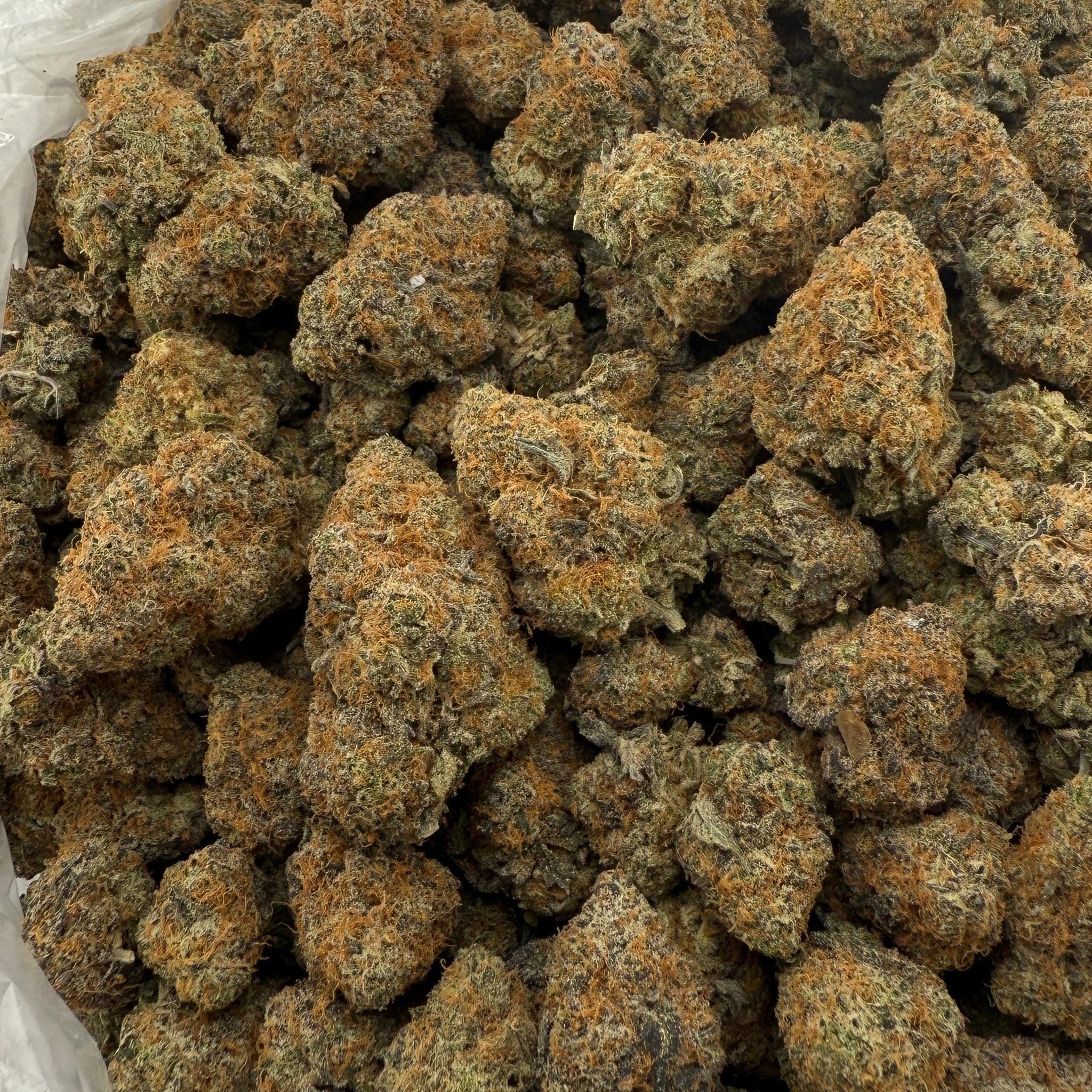 Brownie Scout bulk THCA flower — Plain Jane 1 lb
