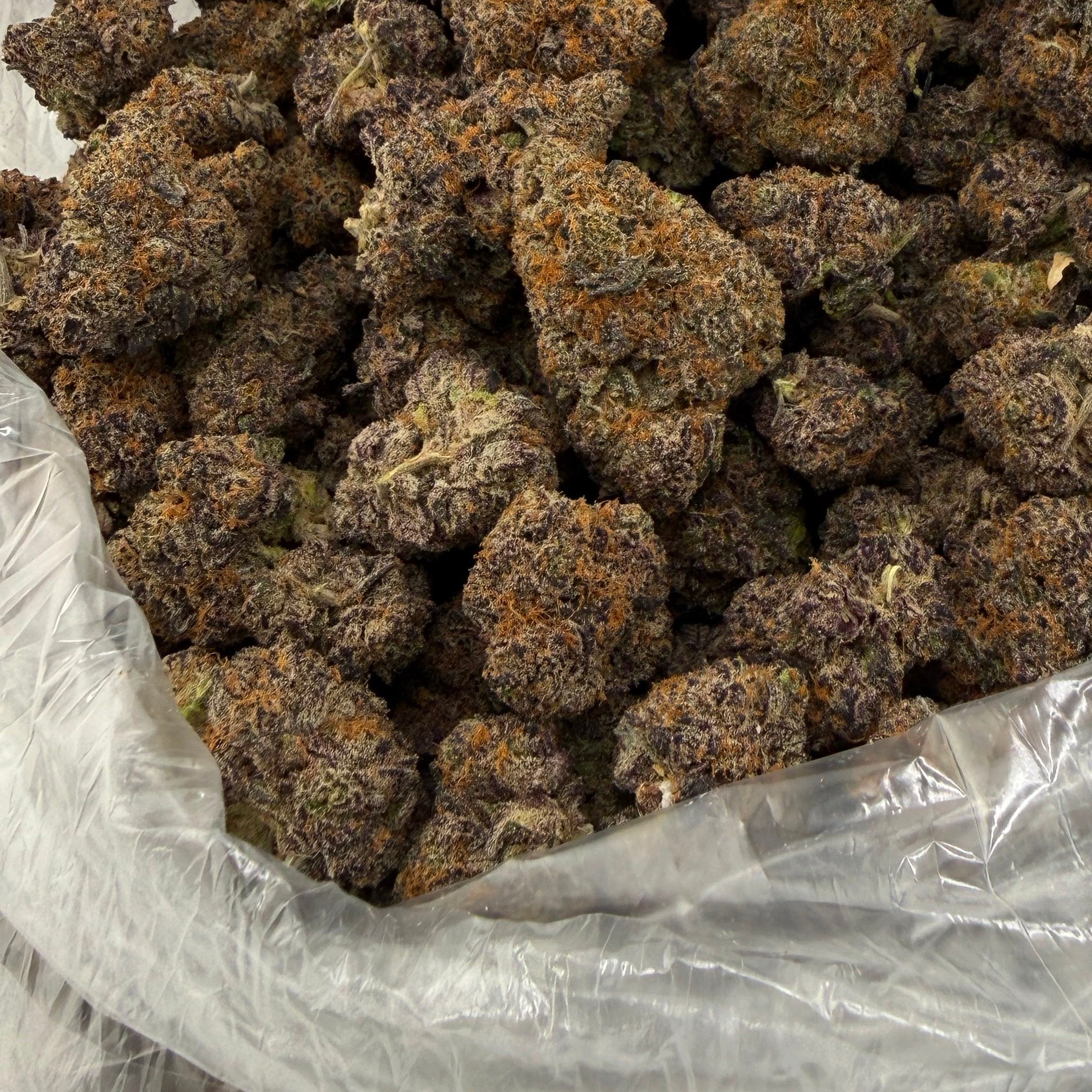 Brownie Scout bulk THCA flower — Plain Jane 1 lb