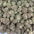Bubba Fett bulk THCA flower — Plain Jane 1 lb