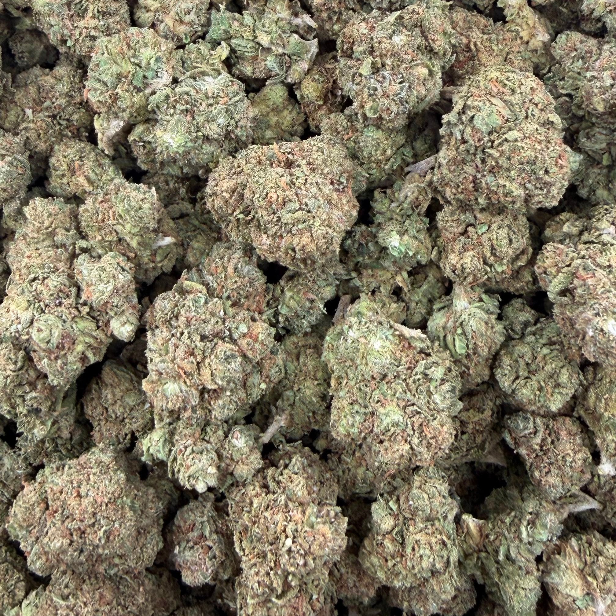 Bubba Kush bulk THCA flower — Plain Jane 1 lb