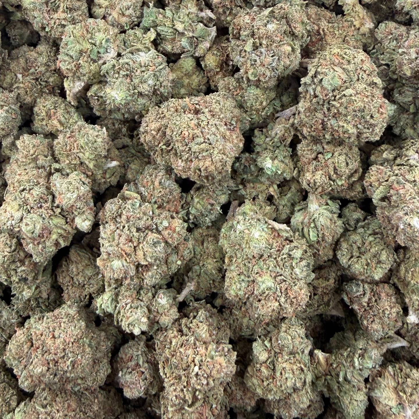 Bubba Kush bulk THCA flower — Plain Jane 1 lb
