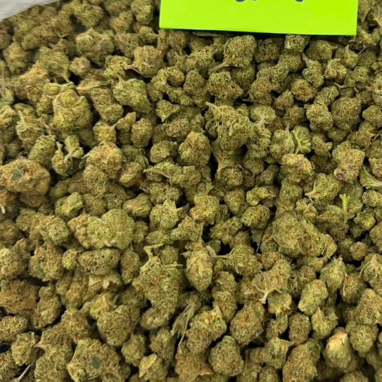 Canal St Runtz bulk THCA flower — Plain Jane 1 lb