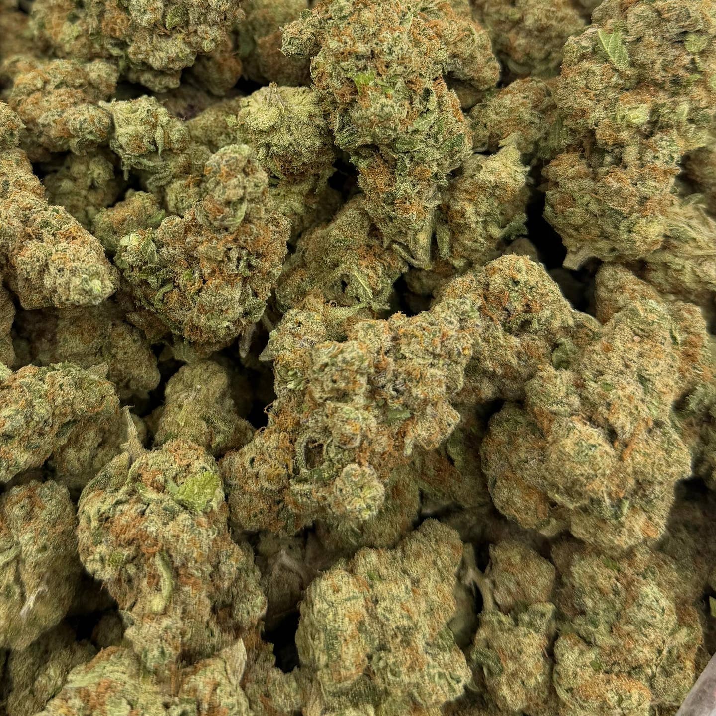 Canal St Runtz bulk THCA flower — Plain Jane 1 lb