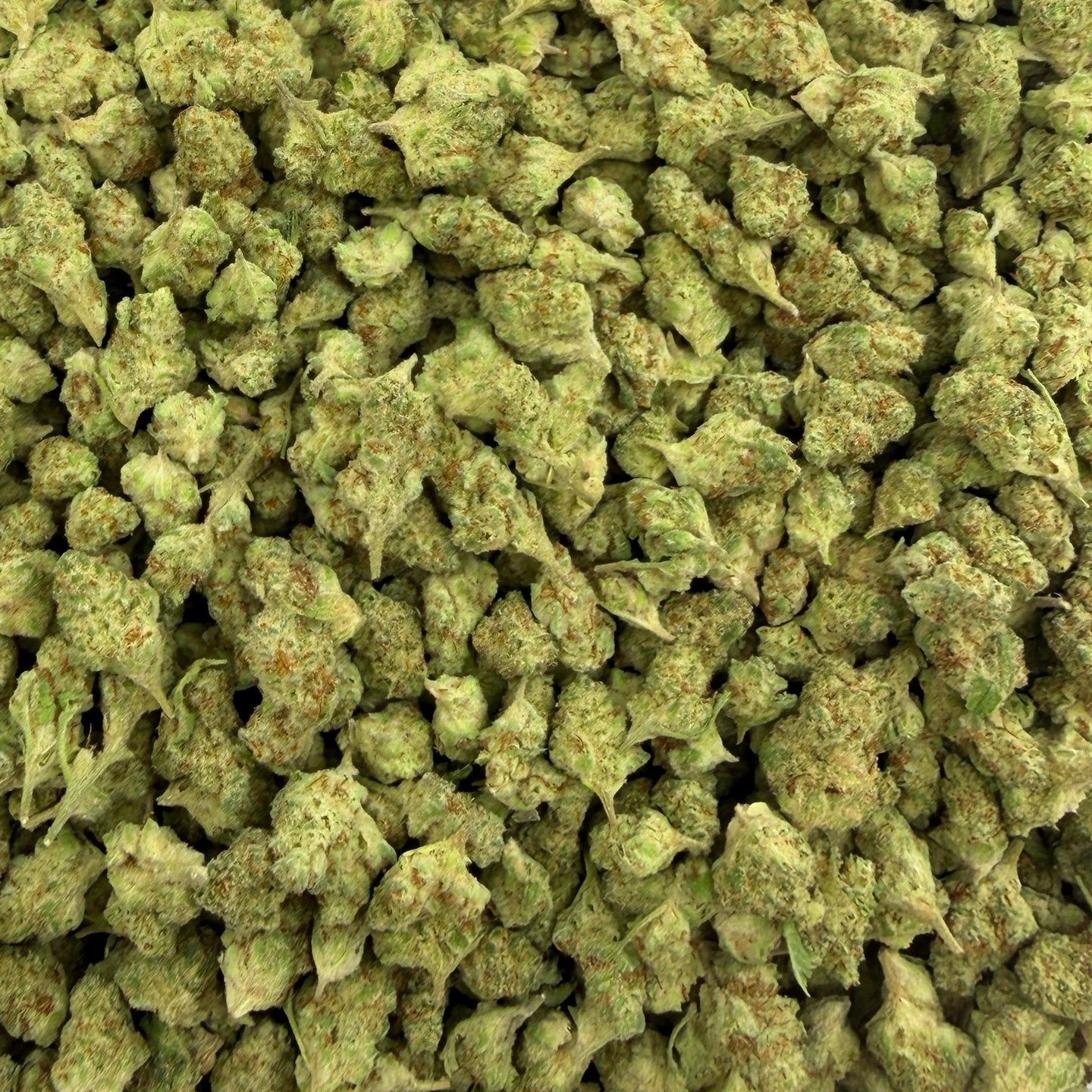 Candy Cartel bulk THCA flower — Plain Jane 1 lb