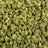 Candy Cartel bulk THCA flower — Plain Jane 1 lb