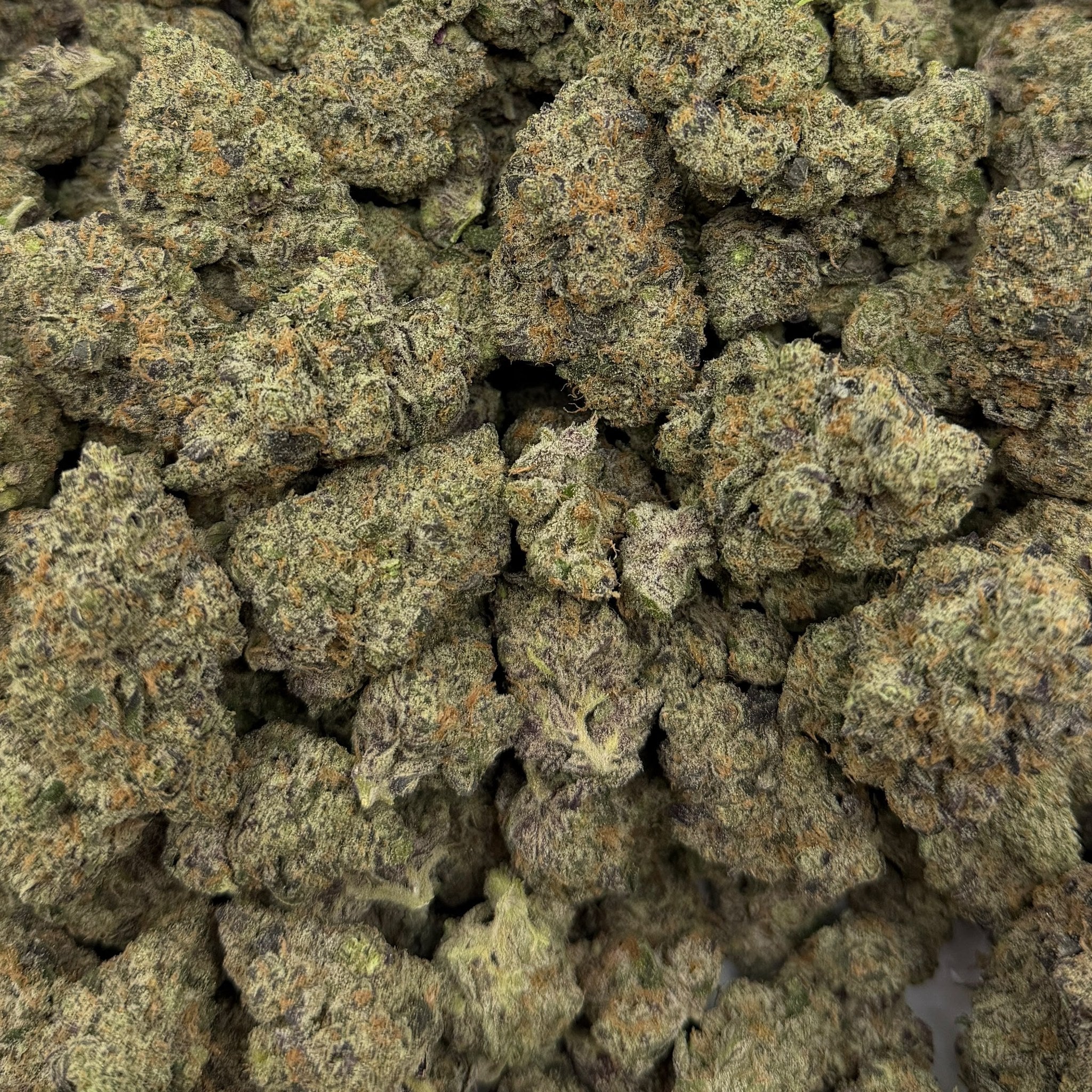 Candy Cartel bulk THCA flower — Plain Jane 1 lb