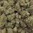 Candy Cartel bulk THCA flower — Plain Jane 1 lb