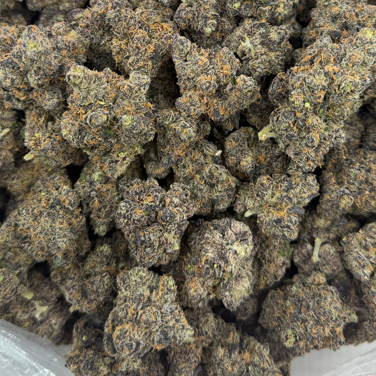 Candy Cartel bulk THCA flower — Plain Jane 1 lb