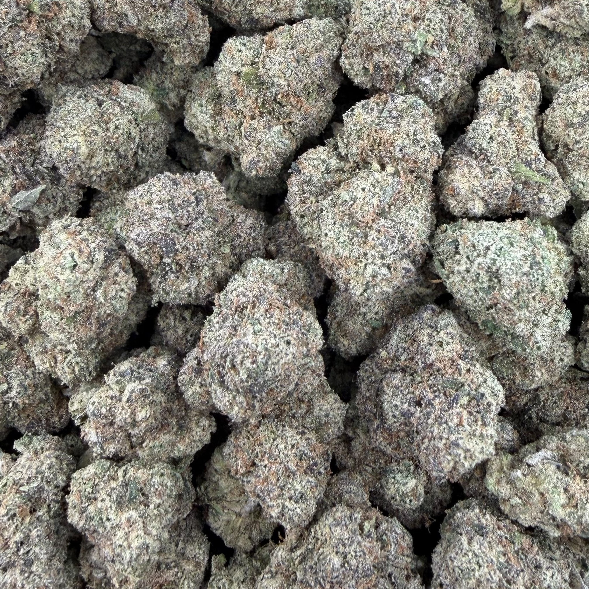 Candy Cartel bulk THCA flower — Plain Jane 1 lb