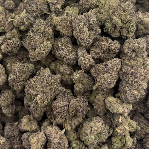 Candy Flip bulk THCA flower — Plain Jane 1 lb