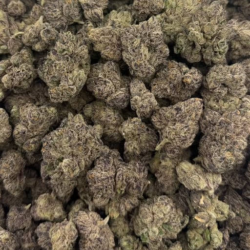 Candy Flip bulk THCA flower — Plain Jane 1 lb