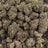 Candy Flip bulk THCA flower — Plain Jane 1 lb