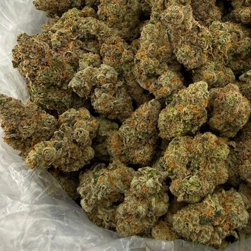 Candy Fume bulk THCA flower — Plain Jane 1 lb