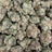 Candy Grand bulk THCA flower — Plain Jane 1 lb