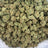 Candy King bulk THCA flower — Plain Jane 1 lb