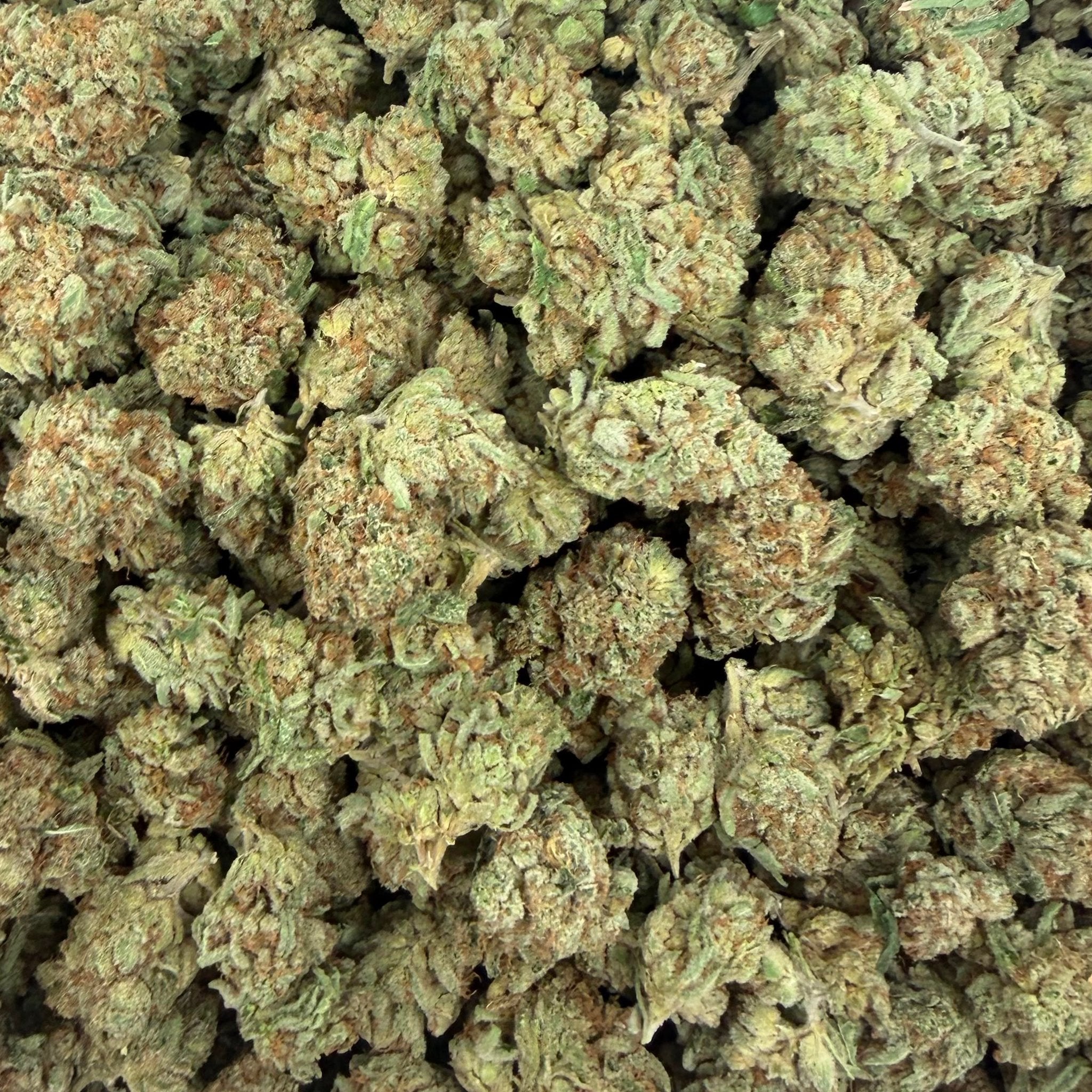 Candy King bulk THCA flower — Plain Jane 1 lb