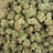 Candy King bulk THCA flower — Plain Jane 1 lb