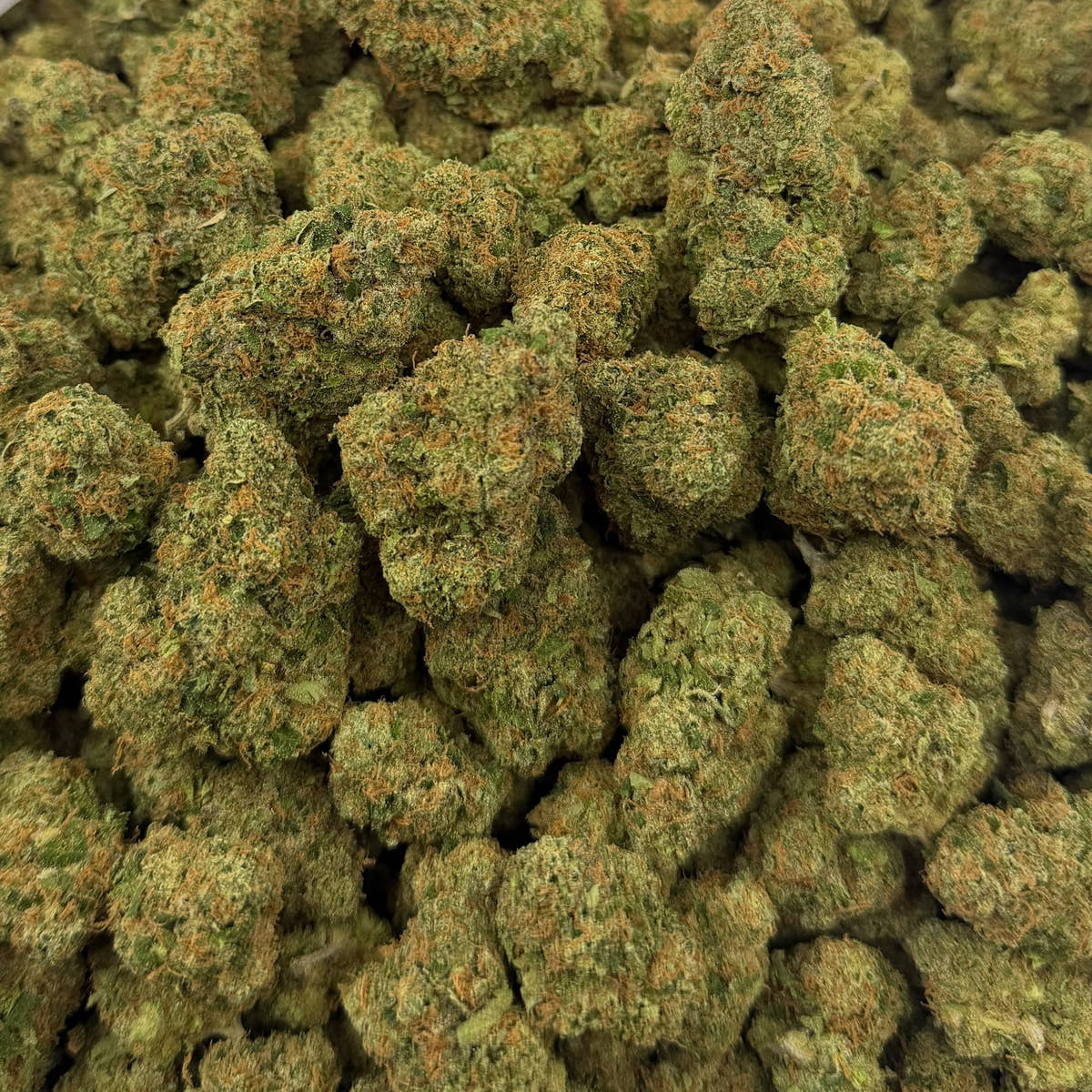 Candy King bulk THCA flower — Plain Jane 1 lb