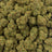 Candy King bulk THCA flower — Plain Jane 1 lb