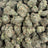 Candy Mob bulk THCA flower — Plain Jane 1 lb